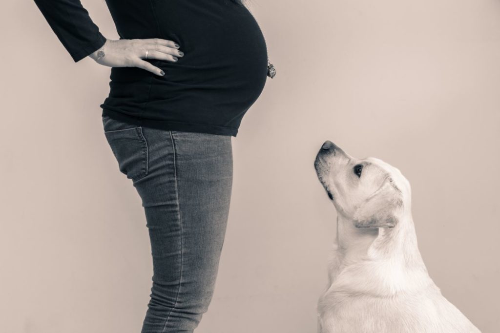 femme enceinte chien